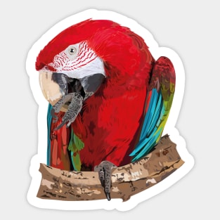 Aliverde Macaw Sticker